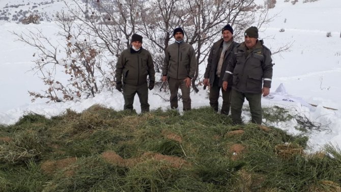 Elazığ’da Yaban Hayatına Bir Ayda 7 Ton Yem Bırakıldı
