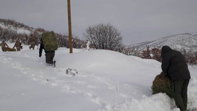 Elazığ’da Yaban Hayatına Bir Ayda 7 Ton Yem Bırakıldı