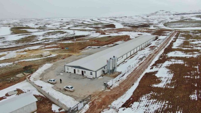 Şehir Hayatından Sıkıldı, Devletten Aldığı Destek İle Köye Dönüp Çiftlik Kurdu