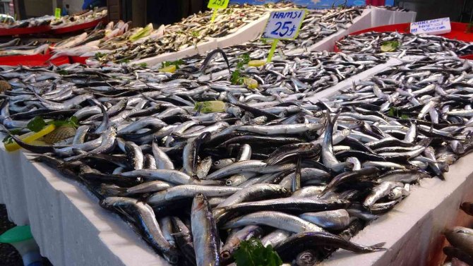 İ̇ğneada’dan Gelen Hamsi Trabzon’da 25 Tl’den Alıcı Buluyor