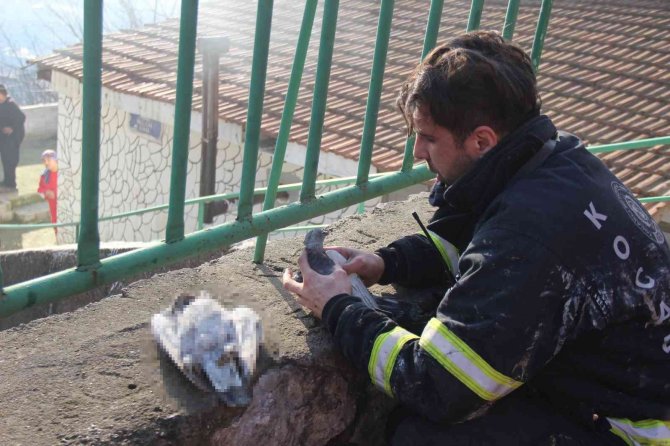 Yangında Telef Olan Köpeklerinin Çantasına Sarılarak Gözyaşlarına Boğuldu