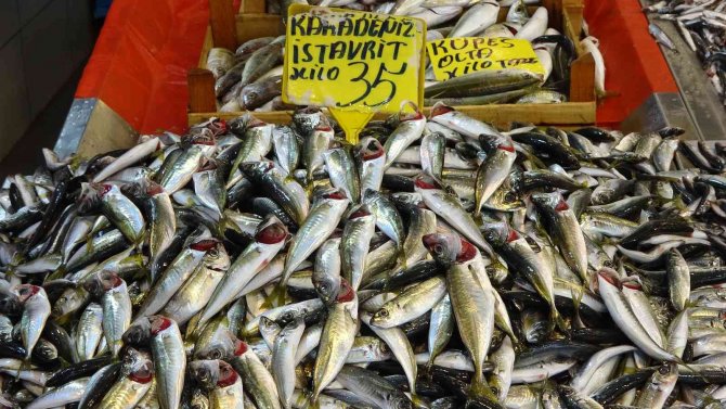 Hamsi 35 Liraya Düştü