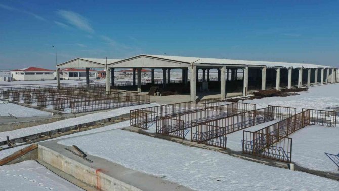 Başkan Altay: "Türkiye’nin En Büyük Hayvan Pazarlarından Birini Yapıyoruz"