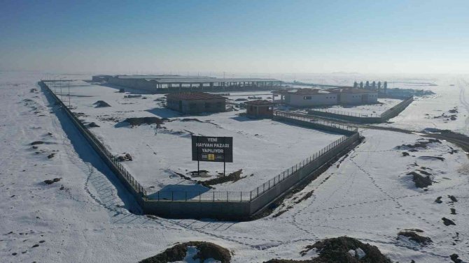 Başkan Altay: "Türkiye’nin En Büyük Hayvan Pazarlarından Birini Yapıyoruz"