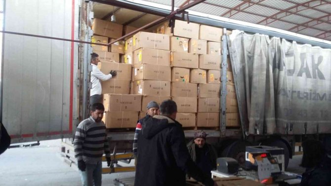 Manisa’da Tütün Alımlarına Başlandı