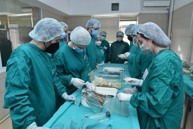 Omü’de 13 Üniversiteden Araştırmacılara Deney Hayvanı Kullanım Eğitimi