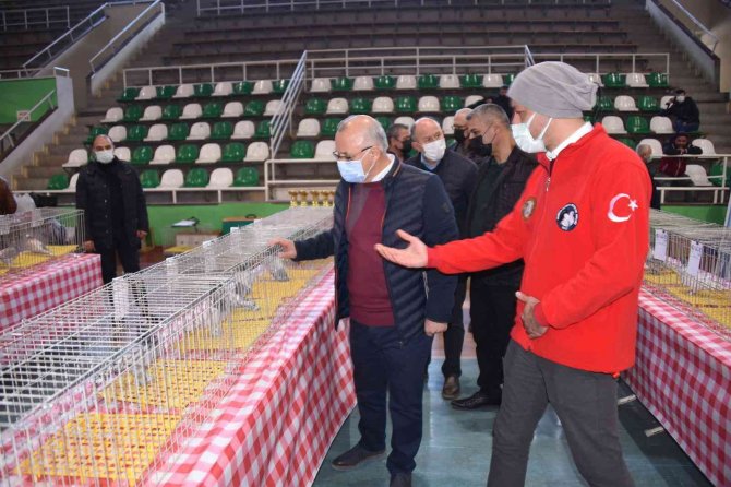 En Güzel Hünkari Güvercinler Salihli’de Yarıştı