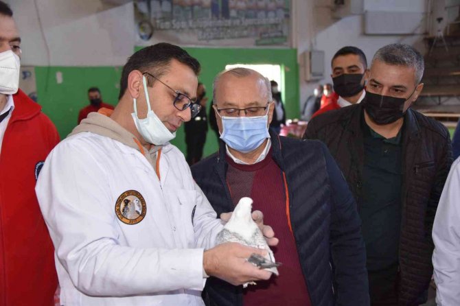 En Güzel Hünkari Güvercinler Salihli’de Yarıştı