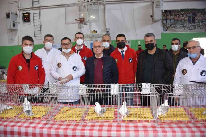 En Güzel Hünkari Güvercinler Salihli’de Yarıştı