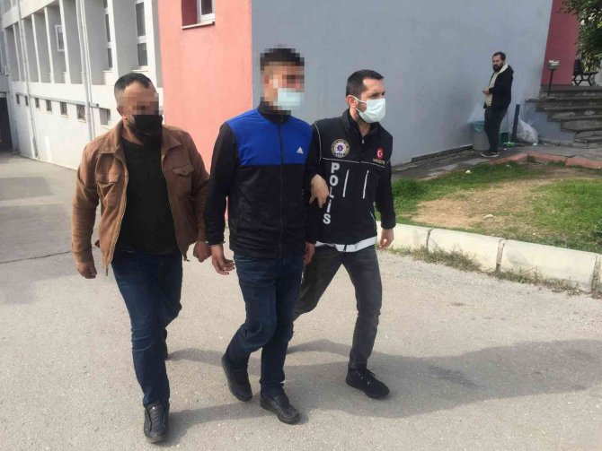 Kahve Ve Yağ İle Korunan Skunk Narkotik Köpeğinden Geçemedi