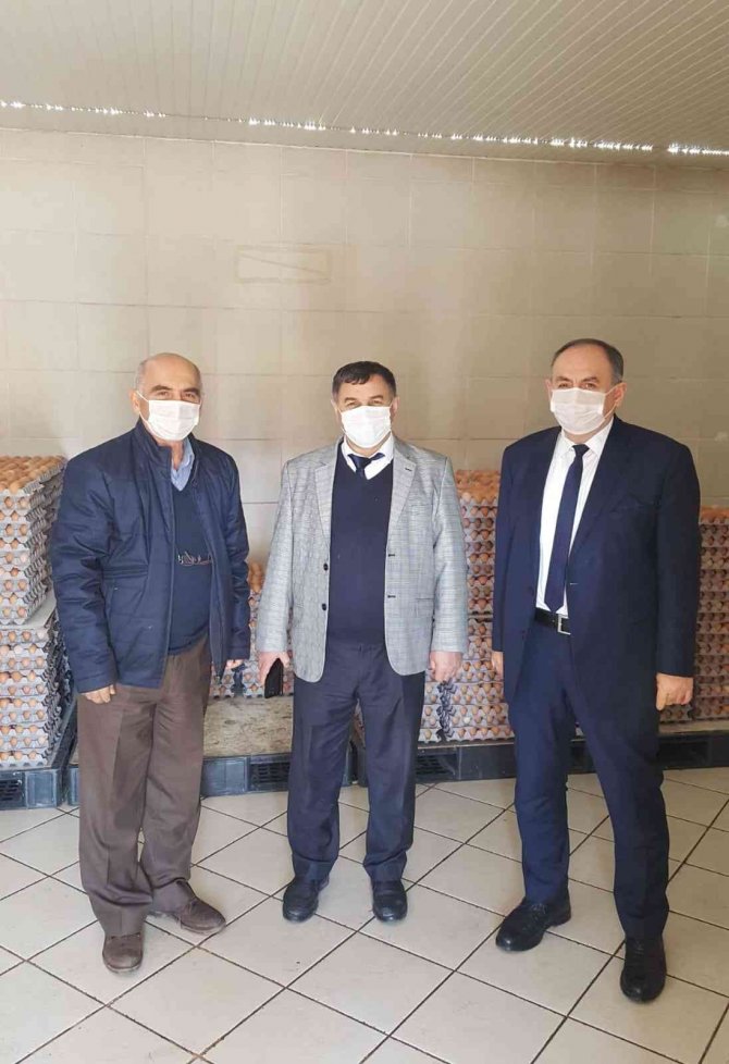 İ̇l Tarım Ve Orman Müdürü Çataklı, Tavuk Çiftliğini İnceledi