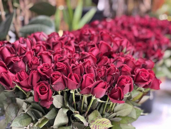 "Sevgililer Günü’nde En Ucuz Gül 30 Tl’den Satılacak"