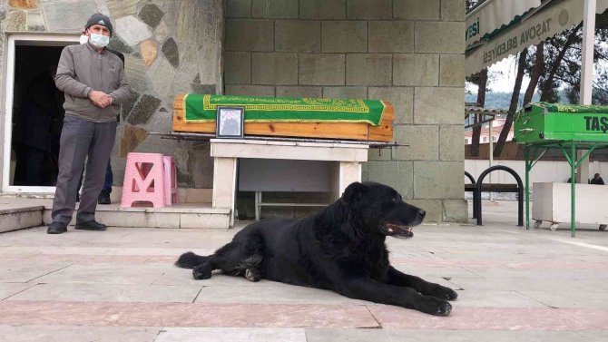 Ölen Sahibinin Tabutunun Başından Biran Olsun Ayrılmadı
