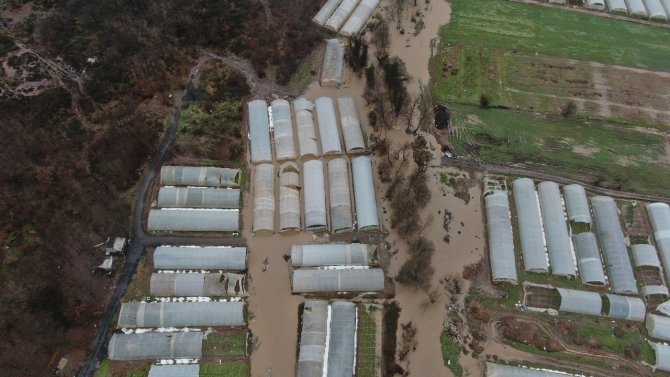 (Güncelleme) İ̇bb’nin Köprü İnşaatı Yarıda Kaldı, Derenin Taşmasıyla Seralar Su Altında Kaldı