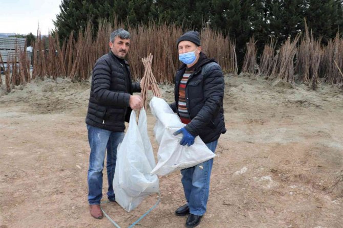 Büyükşehirin Yüzde 50 Hibeli Fidan Dağıtımı Başladı