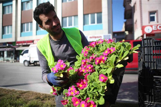 Şehrin Sokakları Rengarenk Çiçek Bahçesine Dönüşüyor