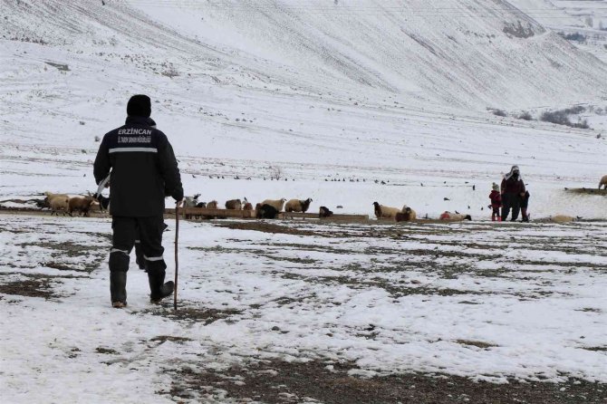 Karlı Yolları Aşıp Besicilere Ulaşıyorlar
