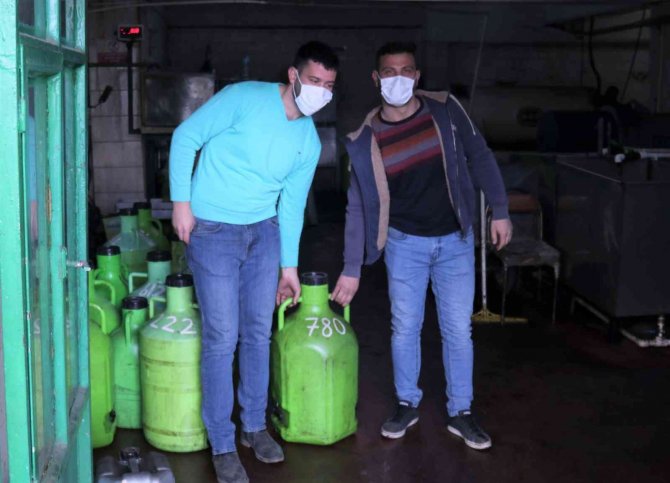 Turgutlu’nun Parklarındaki Zeytinler İhtiyaç Sahipleri İçin Kullanılıyor