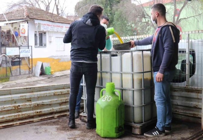 Turgutlu’nun Parklarındaki Zeytinler İhtiyaç Sahipleri İçin Kullanılıyor