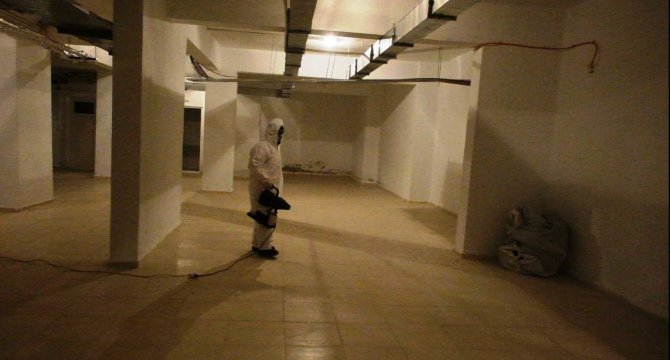 Kocasinan Belediyesi’nden Haşerelere Karşı Etkin Mücadele