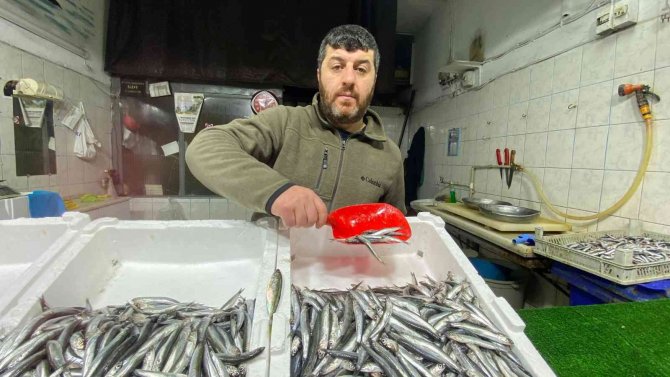Hamsi Bolluğu Balıkçıların Yüzünü Güldürdü