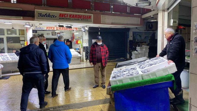 Hamsi Bolluğu Balıkçıların Yüzünü Güldürdü