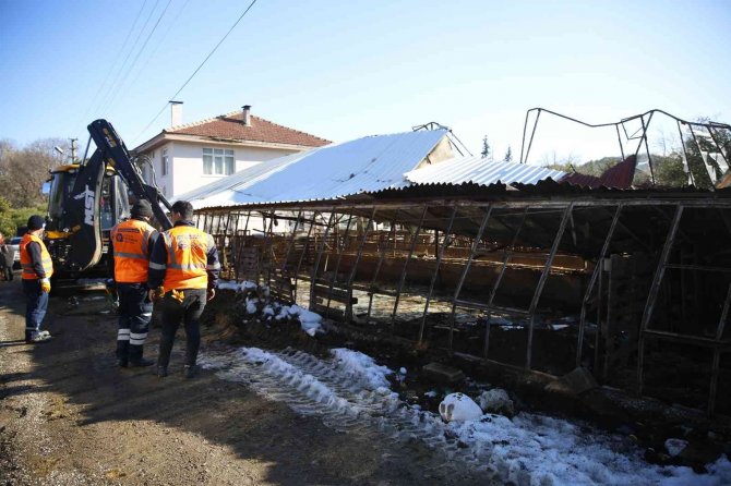 Konyaaltı’nda Doludan Zarar Gören Hayvancılara Büyükşehir’den Destek