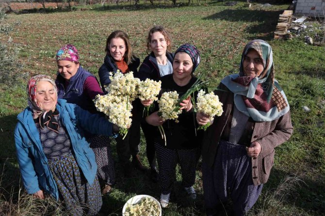 Emi̇tt, Nergis Kokacak