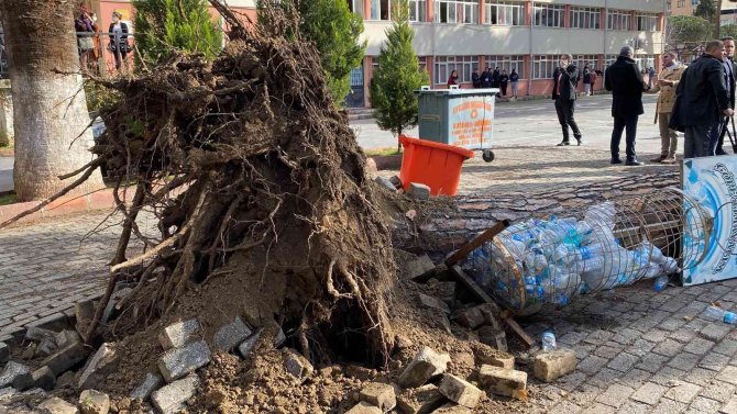 Aydın’da Facia Teğet Geçti