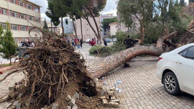 Aydın’da Facia Teğet Geçti