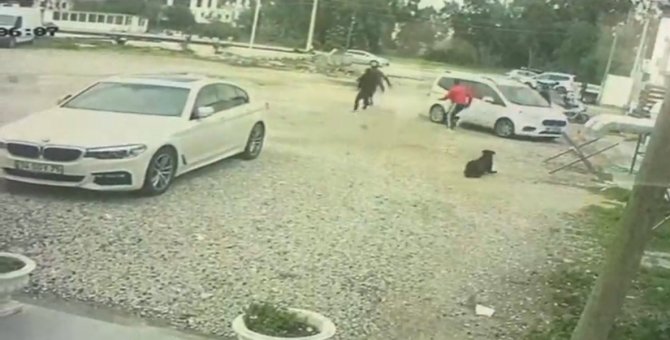 Bodrum’da Güpegündüz Öldüresiye Darp