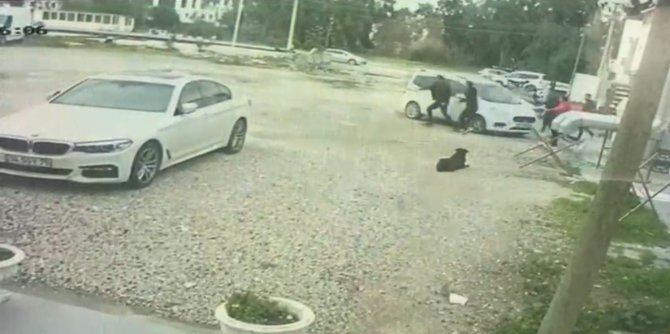 Bodrum’da Güpegündüz Öldüresiye Darp