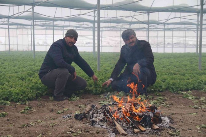 Buz Tutan Ürünleri İçin Serasında Ateş Yaktı