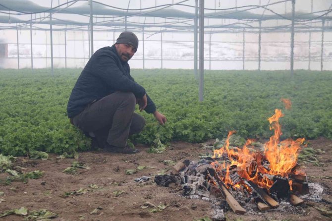 Buz Tutan Ürünleri İçin Serasında Ateş Yaktı