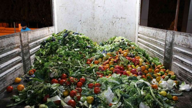 Derince’de Atıklar Komposta Dönüşüyor
