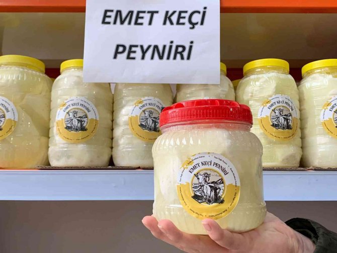 Emet’te "Keçi Belediyeden, Süt Köylüden, Peynir Kooperatiften” Projesi