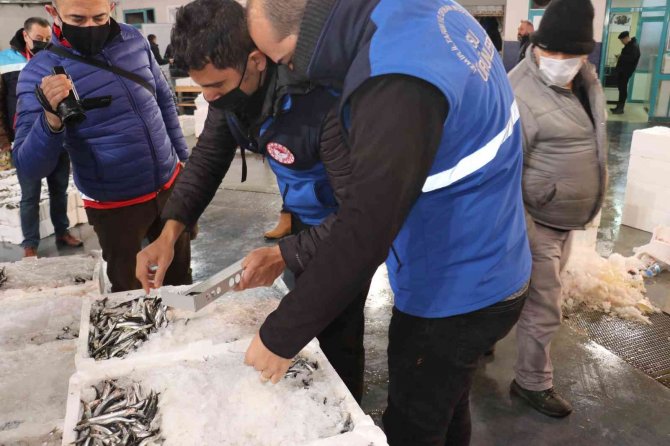 Boy Ve Av Yasağına Uymayan 8 Tona Yakın Balığa El Konuldu