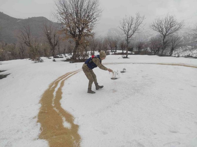 Jandarma Ekipleri Yaban Hayvanlarını Unutmadı: Doğaya Yem Bıraktı