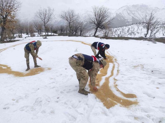 Jandarma Ekipleri Yaban Hayvanlarını Unutmadı: Doğaya Yem Bıraktı