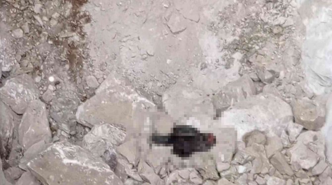Hazine Bulmak İçin Siyah Tavuk Kesip Kuyuya İndiler