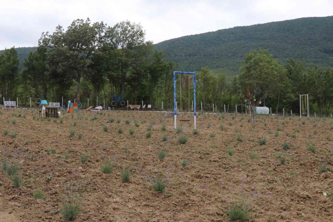 Başkan Sarıcaoğlu’ndan İlaç Gibi Proje