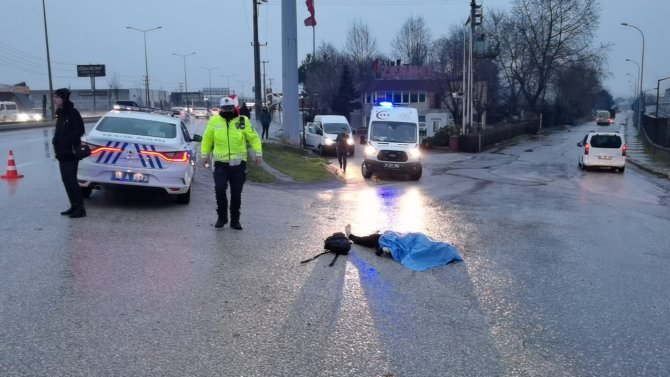 Bursa’da Otomobilin Çarptığı Kadın Hayatını Kaybetti.