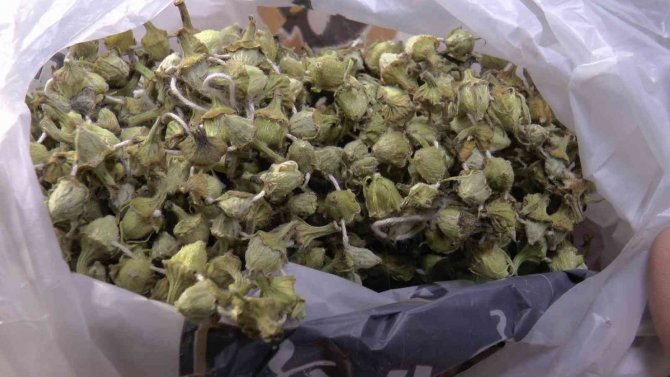 Gram Altınla Yarışan Bamyaya Talep Var