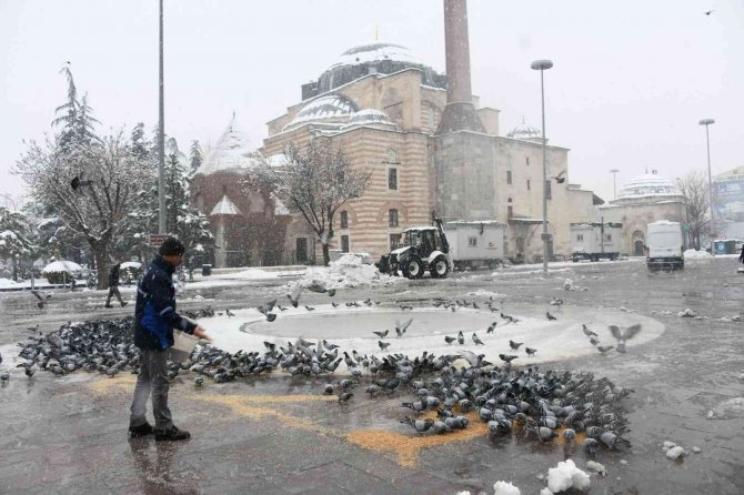Konya Büyükşehir Soğuk Kış Günlerinde Sahipsiz Hayvanların Yanında