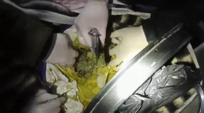 Konya’da Durdurulan Araçtan 48 Kilo 950 Gram Uyuşturucu Çıktı