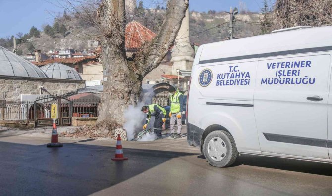 Kütahya’da Haşerelere Karşı Etkin Mücadele