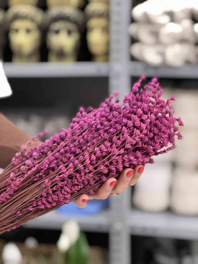 Güle Alternatif Hediye; Lavanta