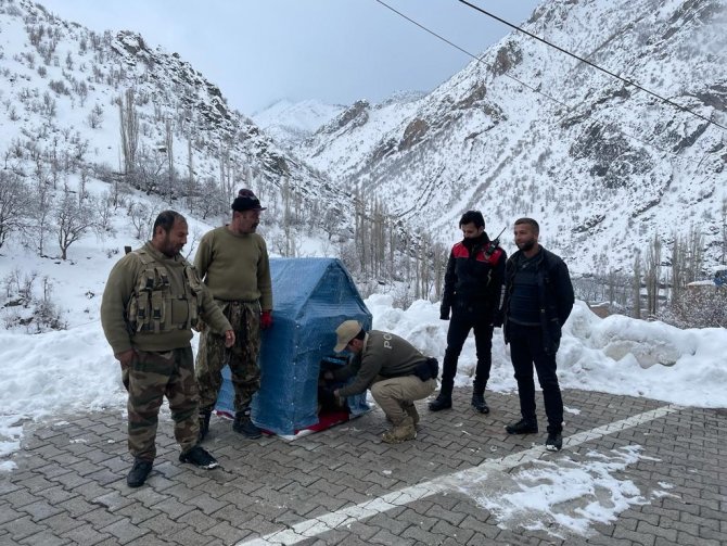 Şırnak’ın Uludere İlçesinde Güvenlik Güçleri Sokak Hayvanlarına Kulübe Bıraktı