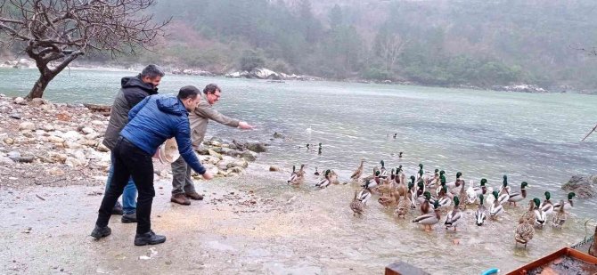 Yaban Hayvanları İçin 50 Kilogram Yem Bırakıldı