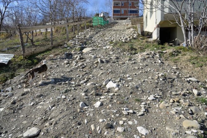 Türkeli Yaza Hazırlanıyor